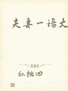 夫妻一场大结局