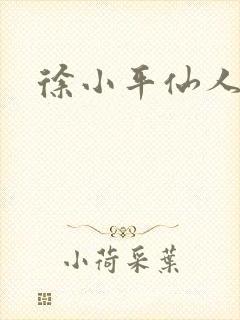 徐小平仙人指路