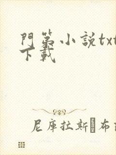 门第小说txt下载