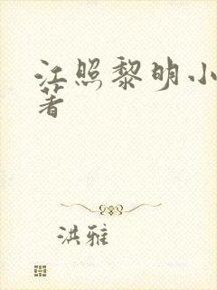 江照黎明小说原著