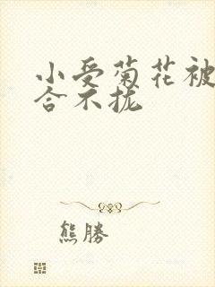 小受菊花被双龙合不拢