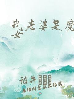 我老婆是魔法少女