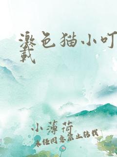 激色猫小叮当下载