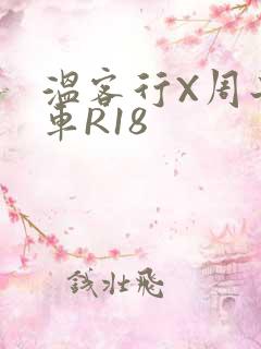 温客行X周子舒车R18