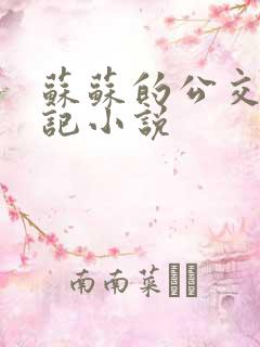 苏苏的公交车日记小说