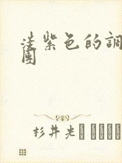 淡紫色的调查兵团