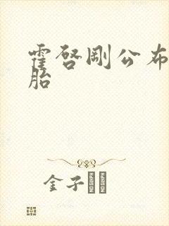 霍启刚公布龙凤胎