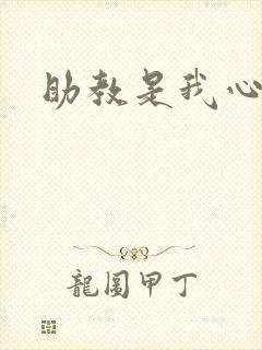 助教是我心尖宠