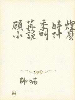 顾苒季时煜电竞小说叫什么名字