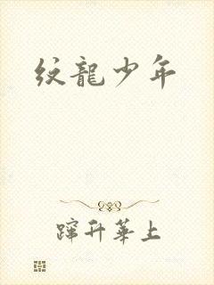 纹龙少年
