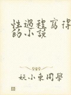 性过程写得详细的小说