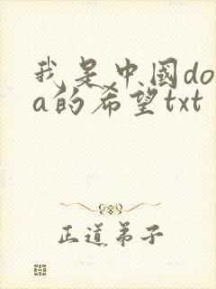 我是中国dota的希望txt