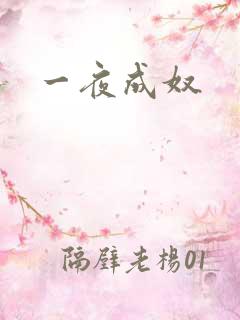 一夜成奴