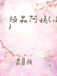 极品阿姨(小说)