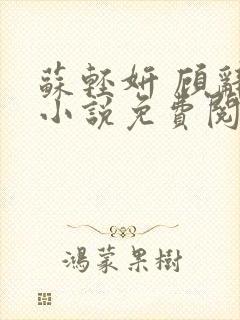 苏轻妍 顾辞笙小说免费阅读