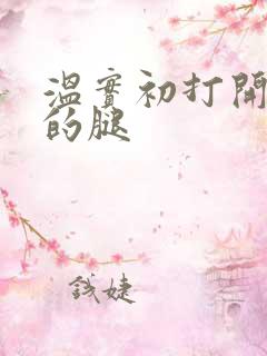 温实初打开眉庄的腿