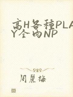 高H各种PLAY全肉NP