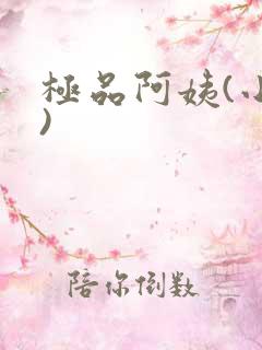 极品阿姨(小说)