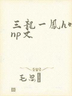 三龙一凤h啪肉np文