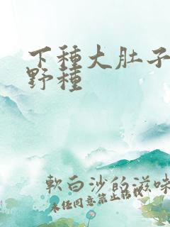 下种大肚子怀孕野种