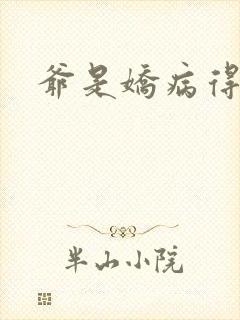 爷是娇病得宠着