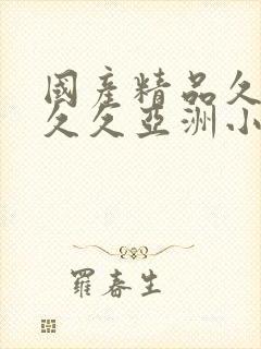 国产精品久久久久久亚洲小说