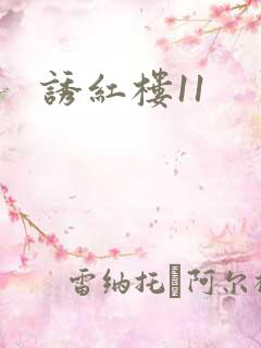 诱红楼11