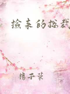 捡来的总裁儿子