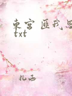 东宫 匪我思存 txt
