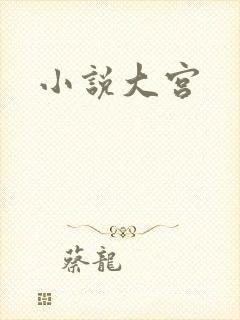 小说大宫