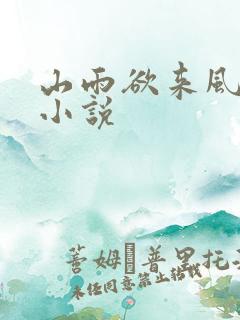 山雨欲来风满楼小说