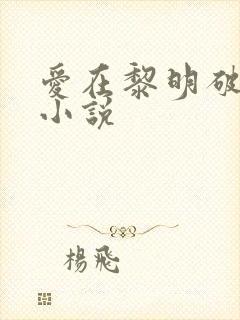 爱在黎明破晓前小说