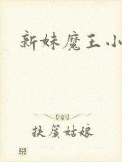 新妹魔王小说