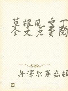 草根风云丁长生全文免费阅读