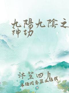 九阳九阴之阴阳神功