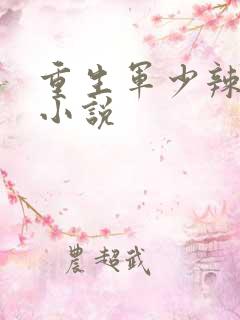 重生军少辣娇妻小说