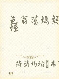 色翁荡熄系列借种