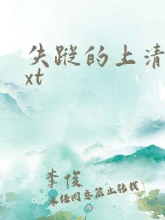 失踪的上清寺txt