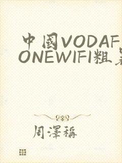 中国VODAFONEWIFI粗暴APP