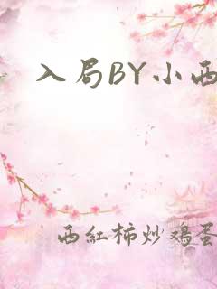 入局BY小西