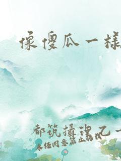 像傻瓜一样去爱