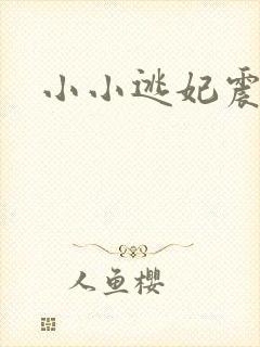 小小逃妃震江山