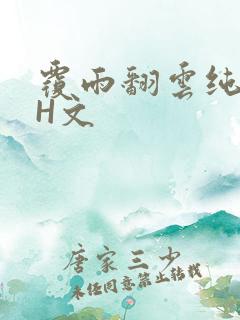 覆雨翻云纯肉高H文