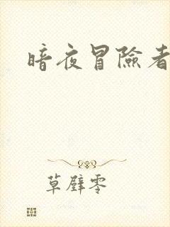 暗夜冒险者指南