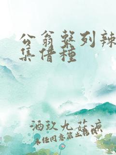 公翁系列辣文全集借种