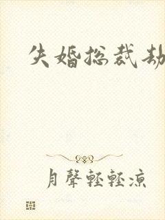 失婚总裁劫前妻