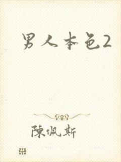 男人本色2