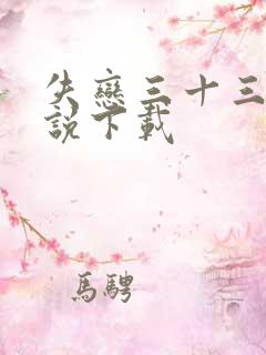 失恋三十三天小说下载