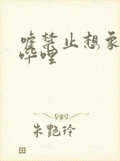 嘘禁止想象哔哩哔哩