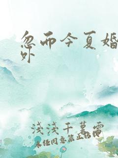 忽而今夏婚后番外